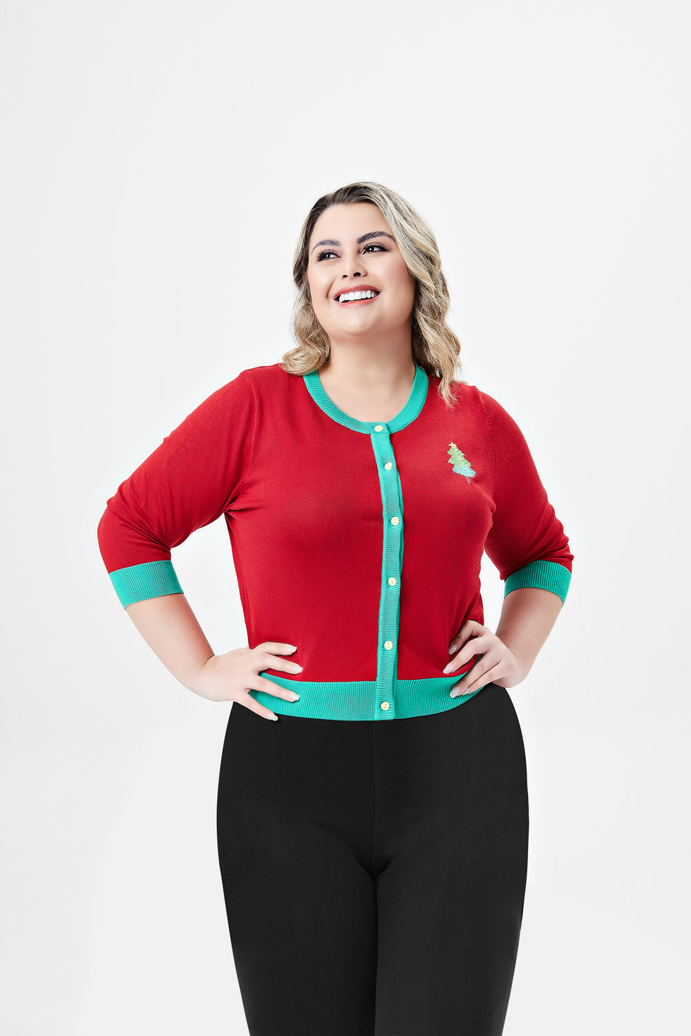 "Leslie" Christmas Cakes Embroidered Cardigan