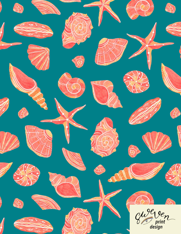 "Bella" Shells &amp; Shades