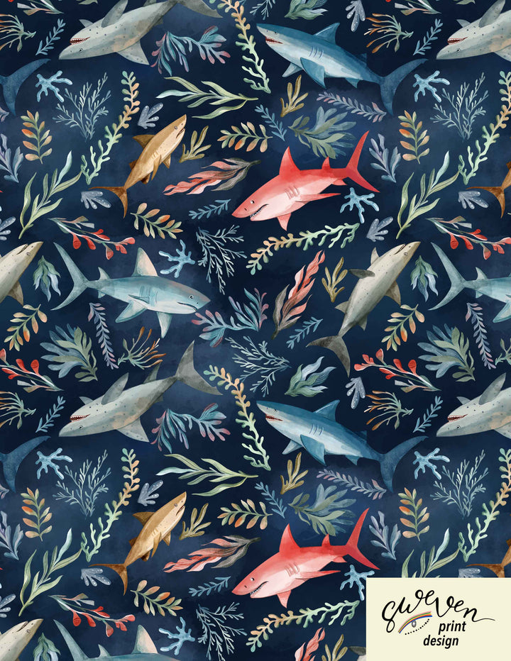 "Lori" Shark Serenade