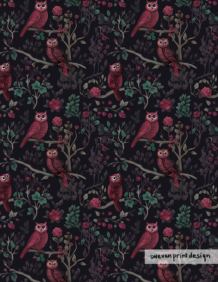 "Eden" Owls